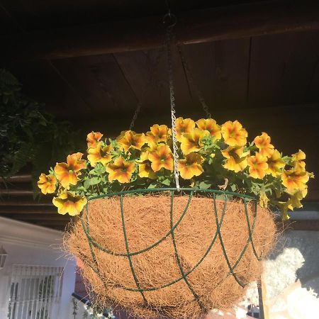 Apartment With Private Patio フエンヒロラ エクステリア 写真